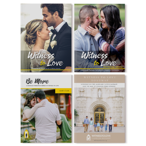 Diocese Review Pack