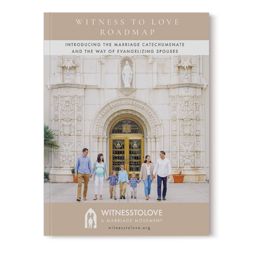 Witness to Love Roadmap