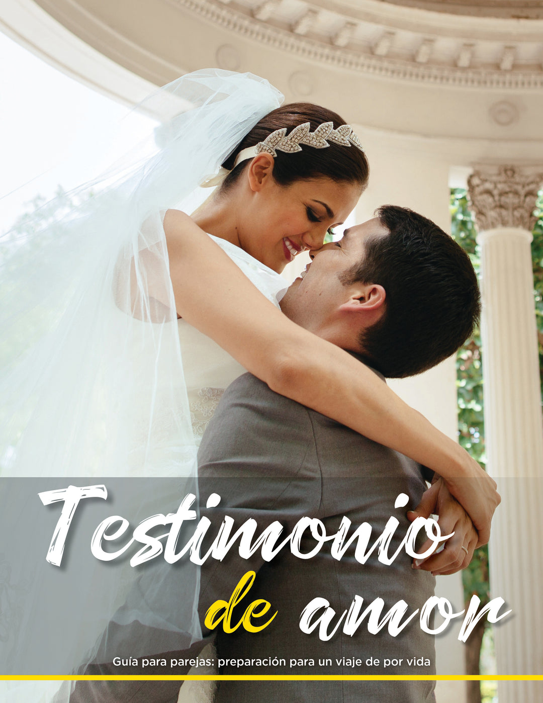 Witness to Love Certification Training – Special Discount (Minimum 3 Orders Required)