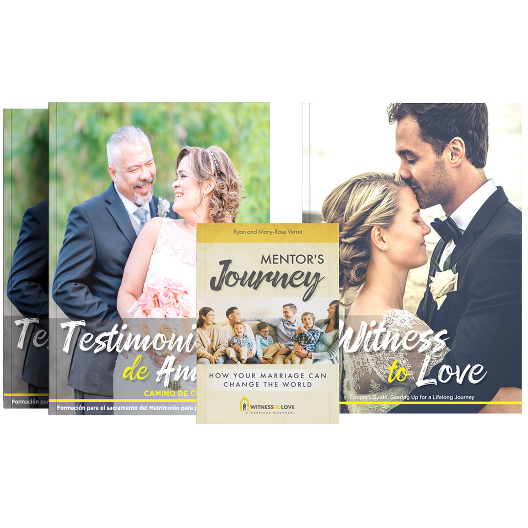 Parish Review Pack (includes both Engaged and Civilly Married couple sets)